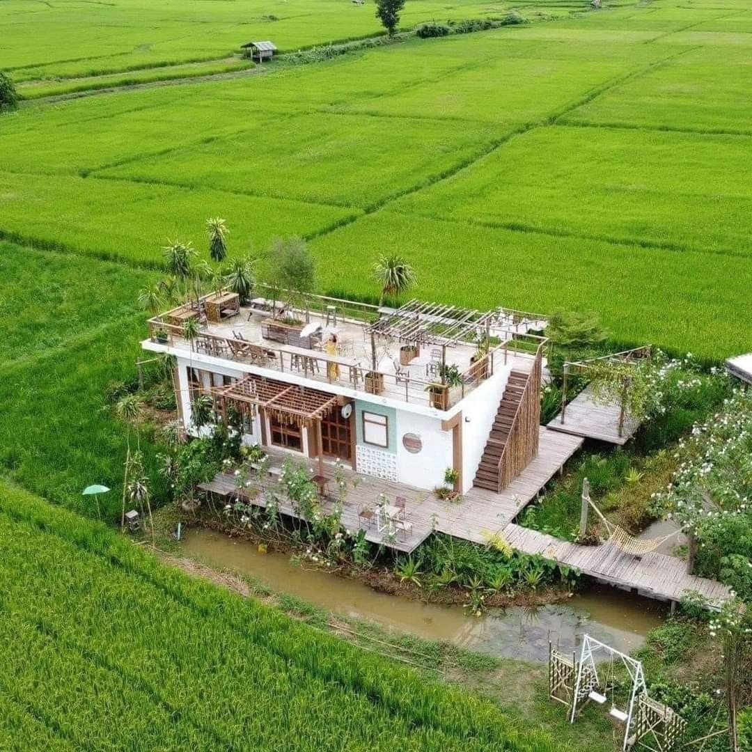 2 người bạn thân U45 bán nhà ở phố về quê xây homestay dưỡng già, nửa năm sau ngồi khóc: Đây là địa ngục- Ảnh 1.