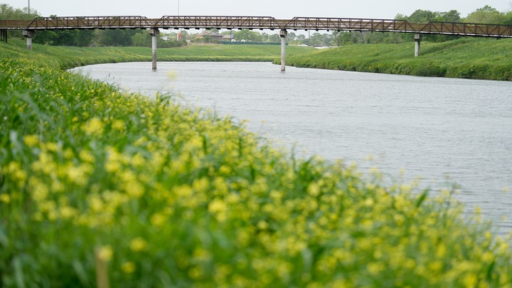 Cảnh sát Mỹ bất ngờ phát hiện hàng loạt thi thể trôi trên sông ở Texas: Chuyện gì đã xảy ra?- Ảnh 1.