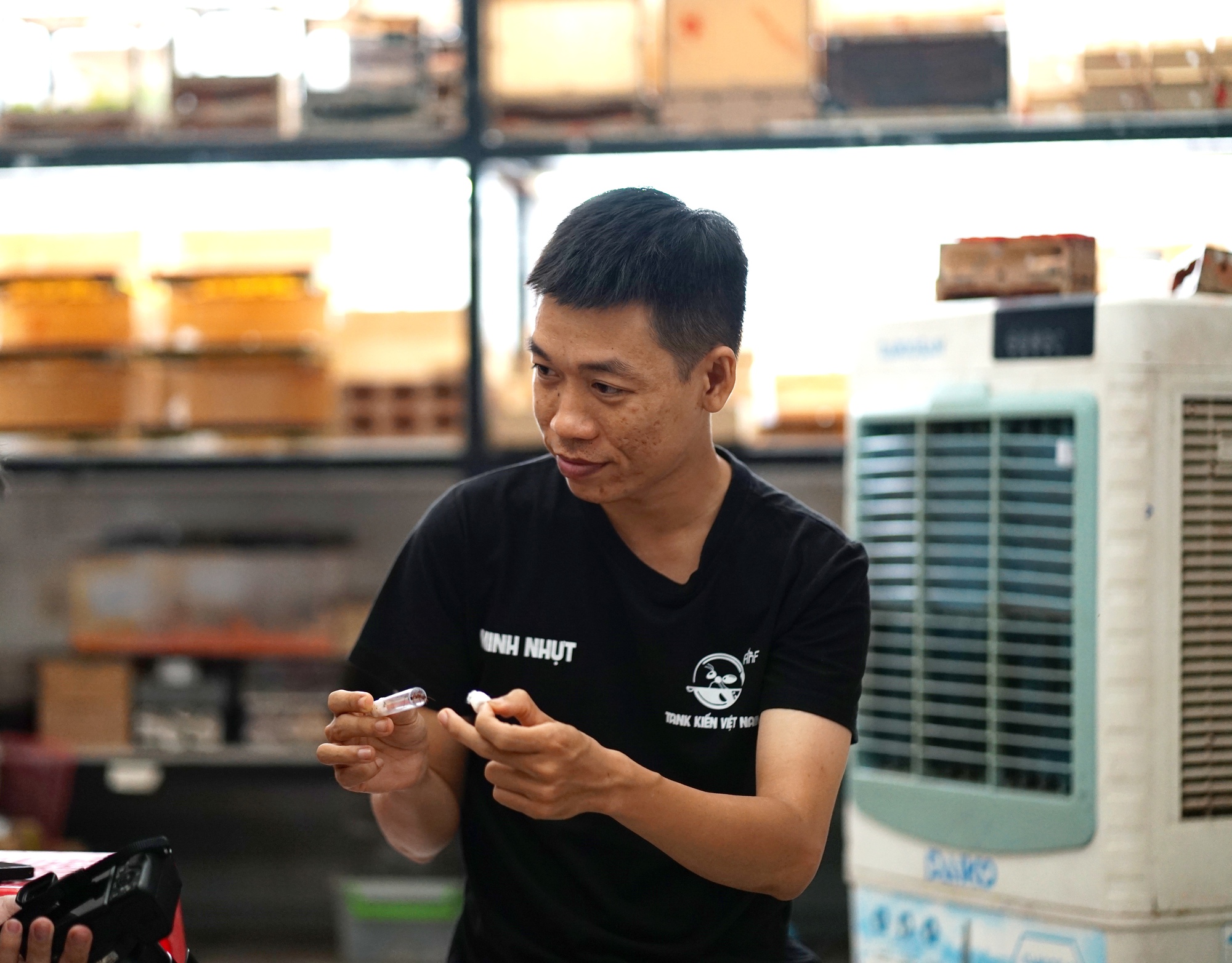 Bên trong căn hộ của chàng trai ở TP.HCM "ăn, ngủ" cùng hàng trăm đàn kiến suốt 6 năm- Ảnh 1.