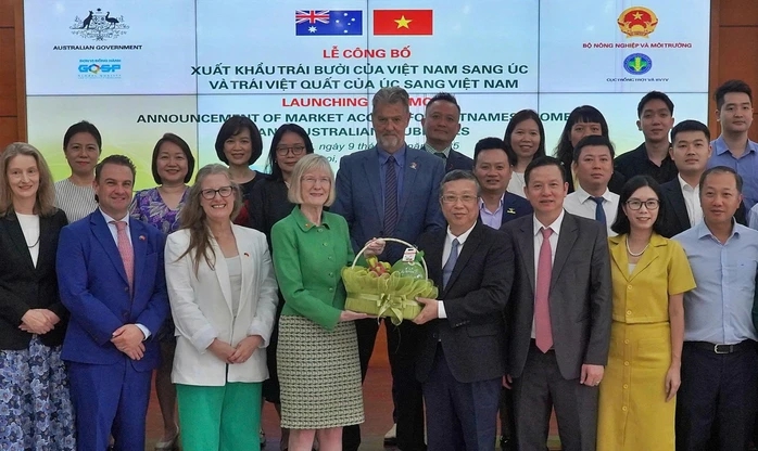 Sau Mỹ, Nhật, nay đến lượt Úc: Một loại quả Việt chinh phục thêm thị trường khó tính, người trồng thu tiền tỷ- Ảnh 1.