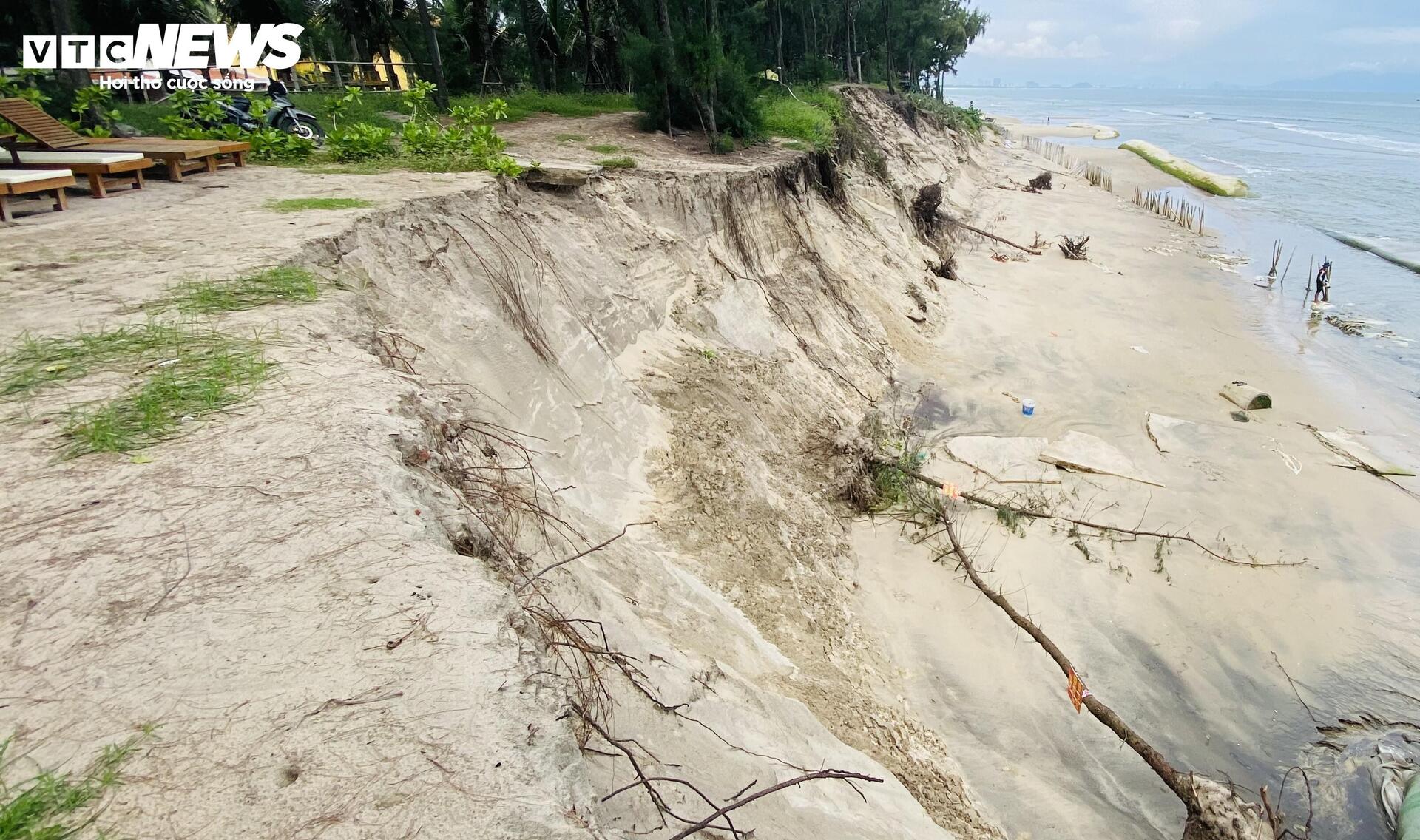 Sóng 'nuốt' đường bêtông, 'ngoạm' bật gốc phi lao, công phá bờ biển Hội An- Ảnh 8.
