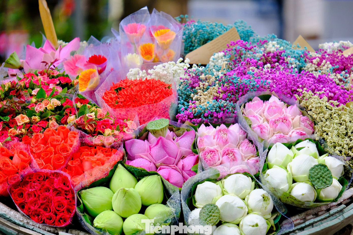 Sắc thu dịu dàng phủ khắp Hà Nội khiến lòng người đắm say- Ảnh 18.
