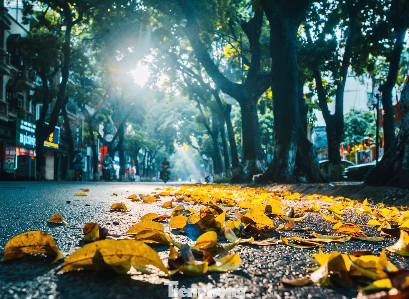 Sắc thu dịu dàng phủ khắp Hà Nội khiến lòng người đắm say- Ảnh 3.