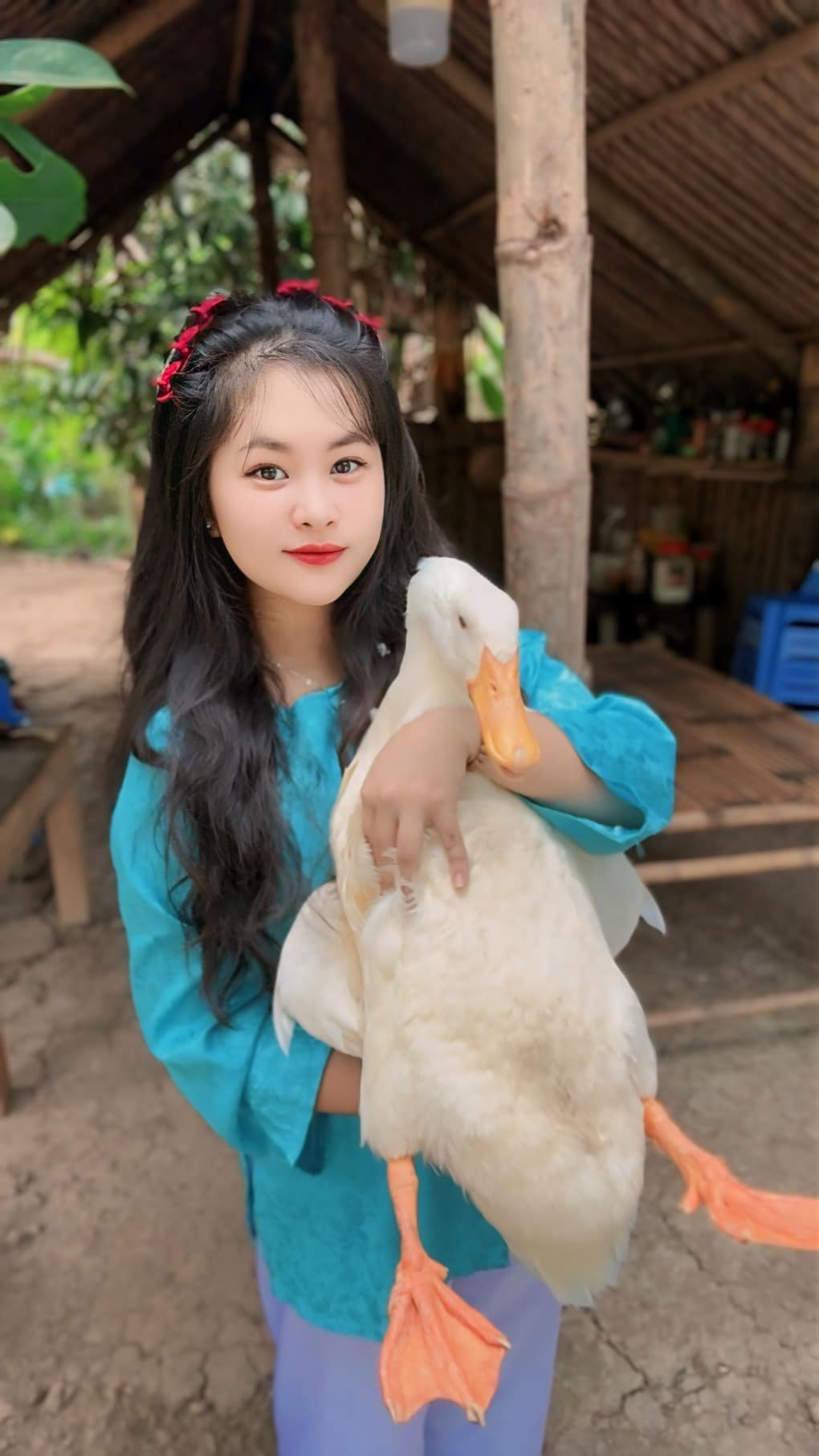 Bim Bim - chú vịt Việt Nam đầu tiên "làm" YouTube qua đời- Ảnh 2.