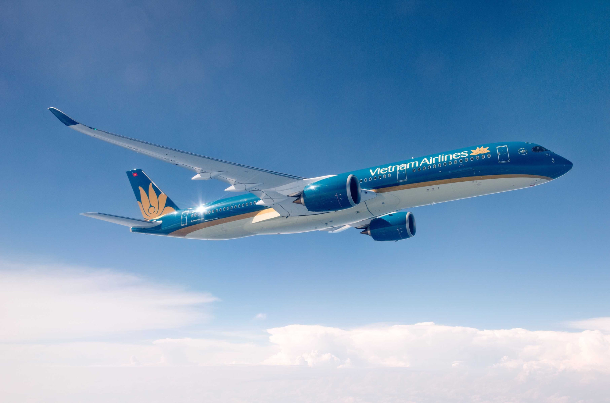 Chủ tịch Vietnam Airlines: ‘Người lao động là tài sản quý giá nhất’- Ảnh 7.