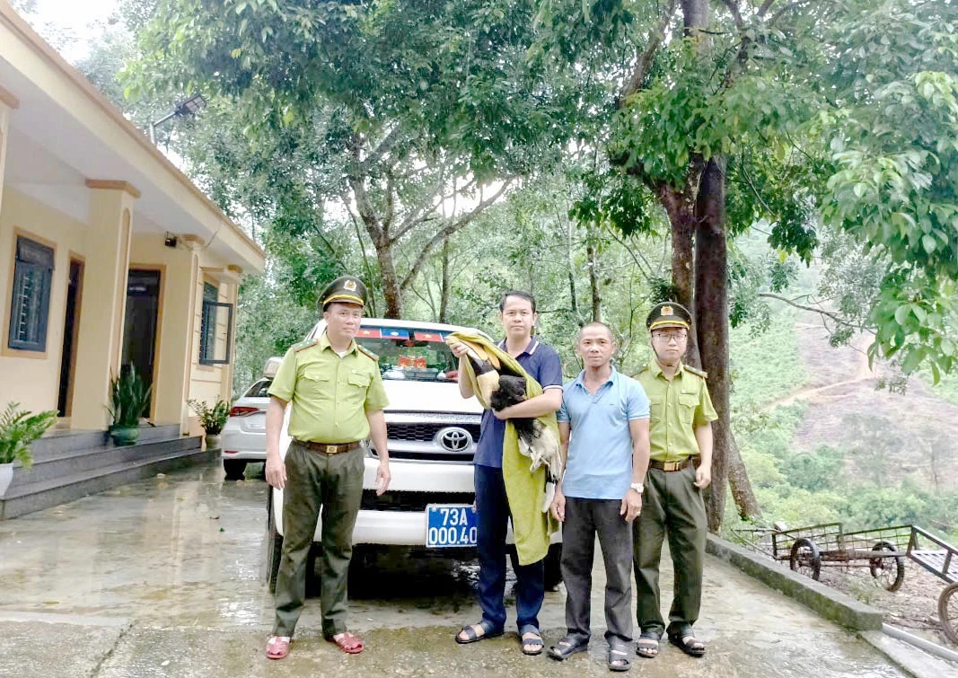 "Vị khách lạ" đáp xuống nhà dân, không ngờ là loài quý hiếm, nguy cấp- Ảnh 1.