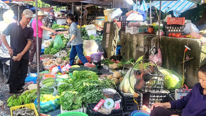 Bà nội trợ giật mình với giá rau xanh tăng gấp 3 lần, rau muống, rau cải tới 25.000 đồng/mớ- Ảnh 1.