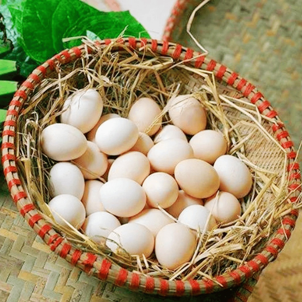 Ăn đúng 7 thực phẩm này, cơ thể "chống lão hóa tự nhiên", da dẻ mịn màng, ngủ ngon, ít bệnh!- Ảnh 1.