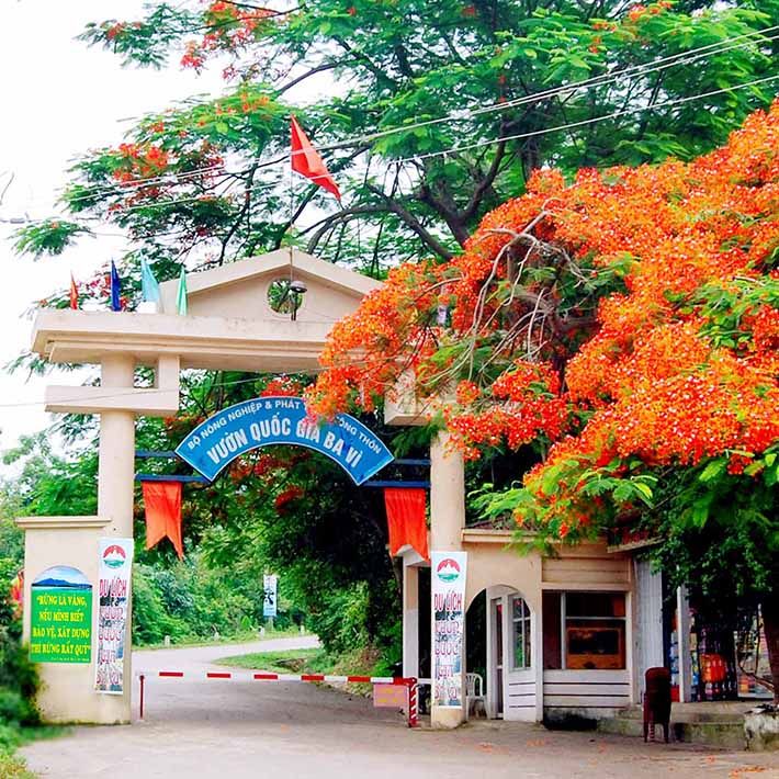 Khách Tây trầm trồ trước ngôi làng ở Hà Nội, nhận xét: 