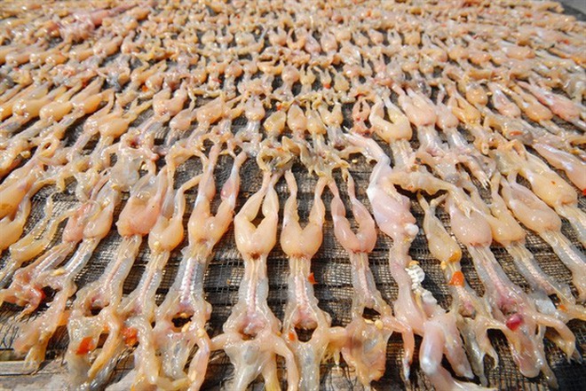 Món đặc sản miền Tây khiến bao người 