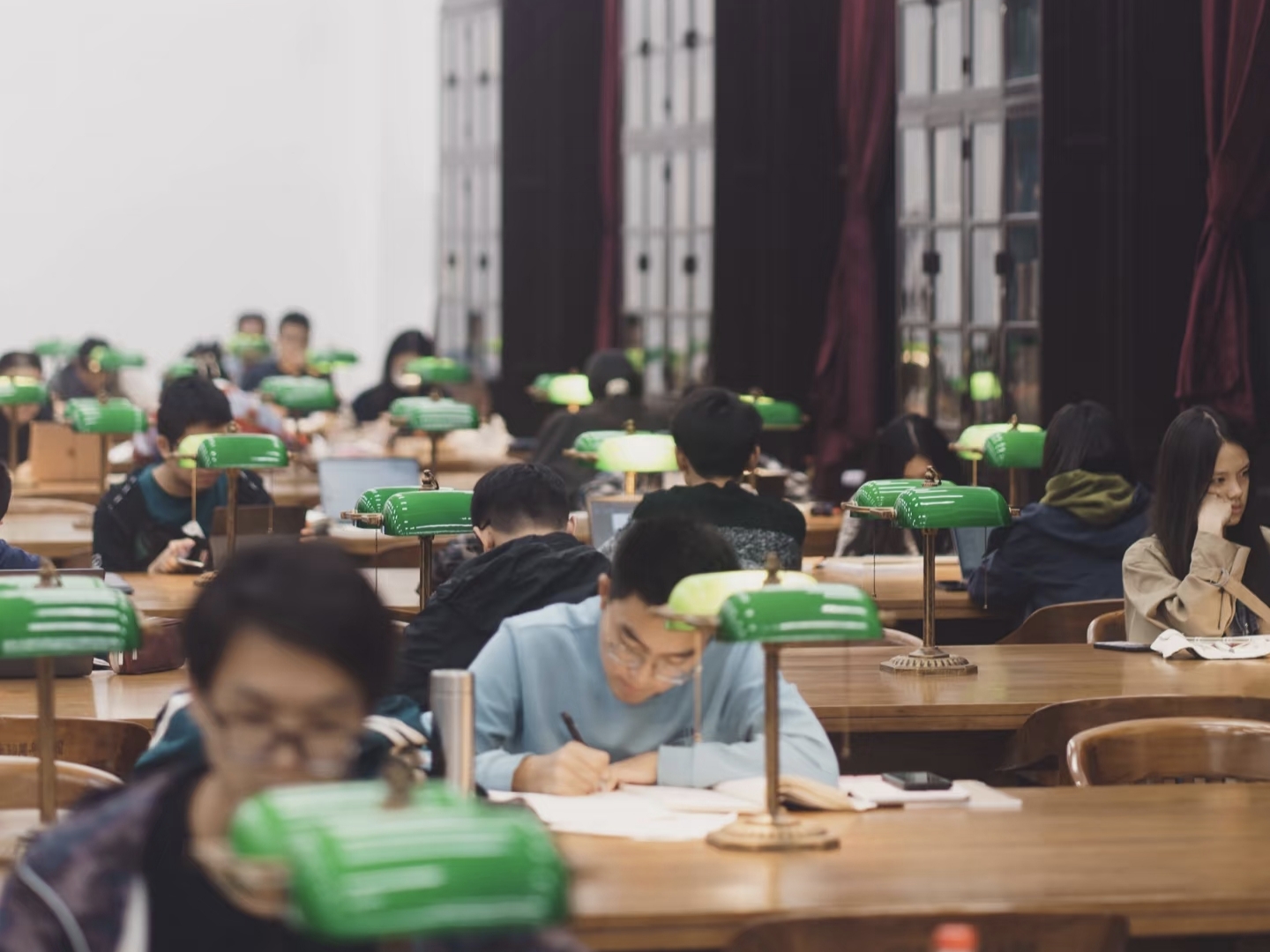 "Hiện tượng bất thường" xảy ra ở đại học danh tiếng top 1- Ảnh 2.