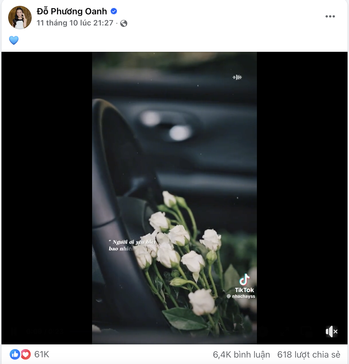 Sự thật đằng sau ca khúc Phương Oanh chia sẻ- Ảnh 1.