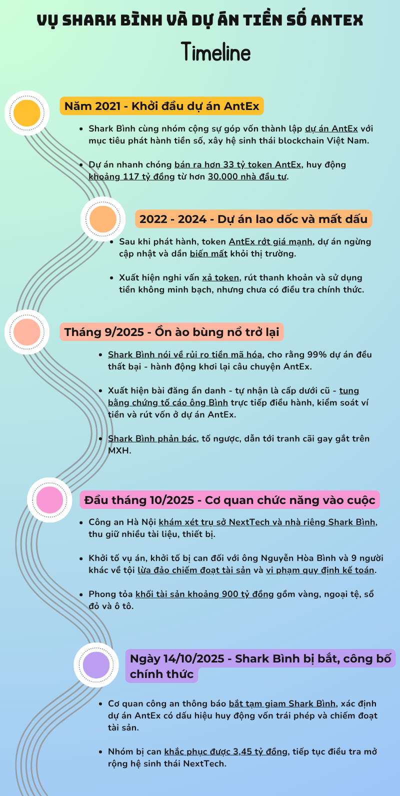 Timeline chi tiết vụ bắt Shark Nguyễn Hoà Bình cùng 9 đồng phạm- Ảnh 1.