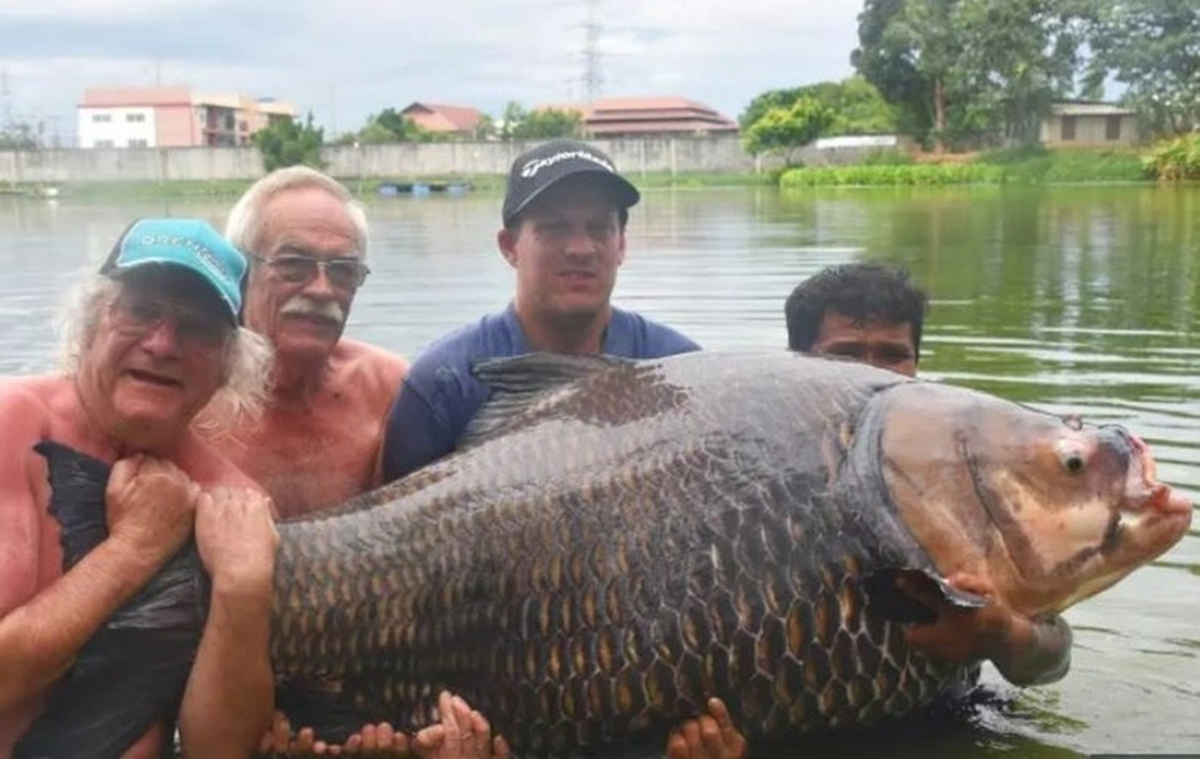 Đi câu cá "giải sầu", người đàn ông câu được con cá chép "khổng lồ"- Ảnh 2.