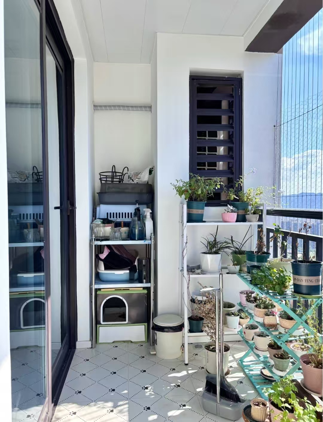 Lần thứ hai cải tạo nhà, tôi 