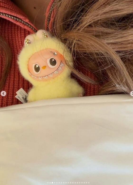 Lisa (BLACKPINK) khoe "Labubu" đính đá quý trị giá 300 triệu Won- Ảnh 3.