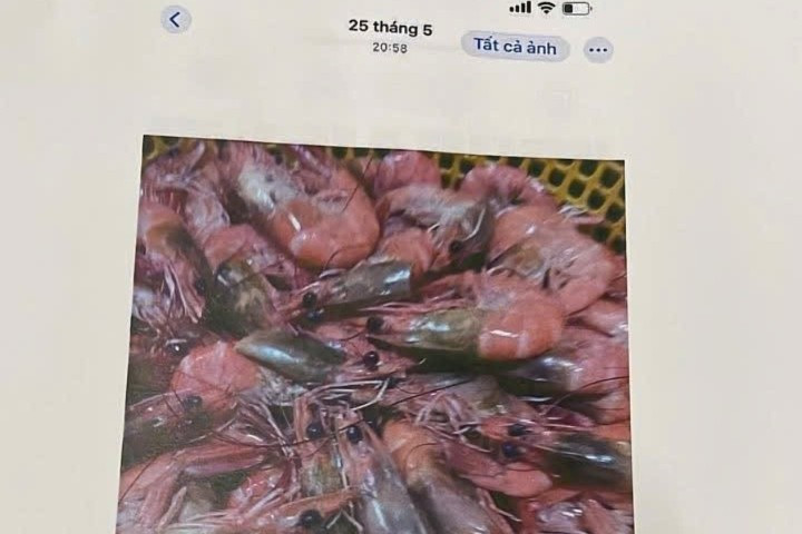 Vụ dân tố "thực phẩm bẩn" tuồn vào trường học: Tiếp tục đình chỉ công tác hiệu trưởng- Ảnh 2.