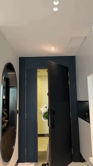 Tài sản của Đỗ Hà- Ảnh 1.