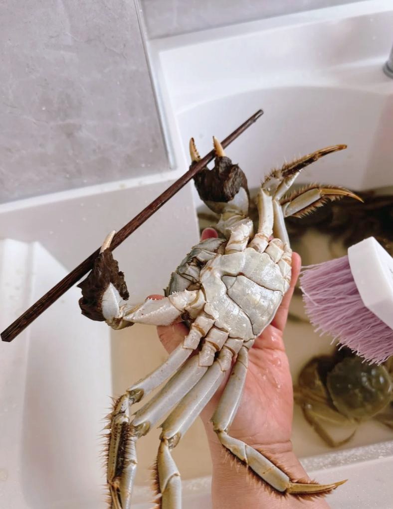 Đôi đũa 