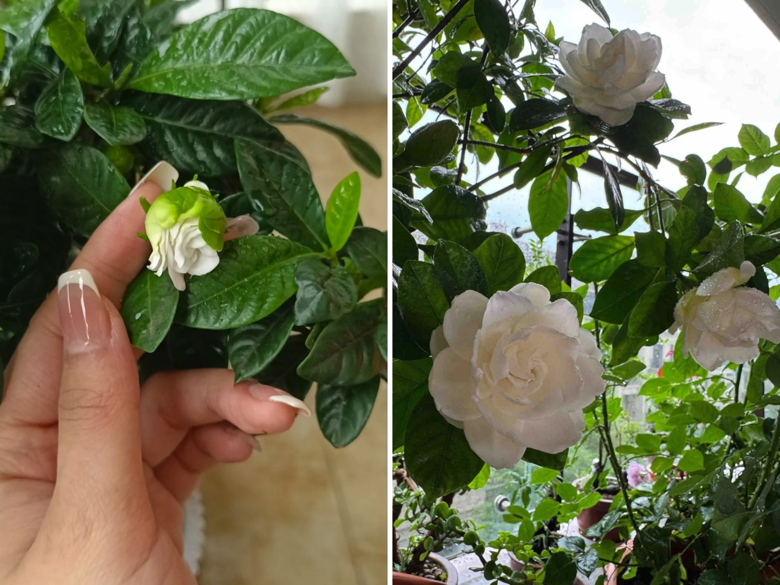 Lần đầu tiên sau 40 năm cuộc đời phát hiện: 9 sự 