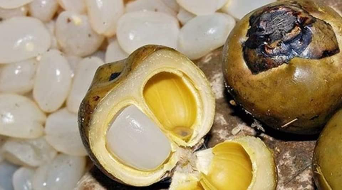 Loại quả ở Việt Nam trồng bạt ngàn, "trời Tây" bán giá 2,5 triệu đồng/ 4 quả- Ảnh 5.