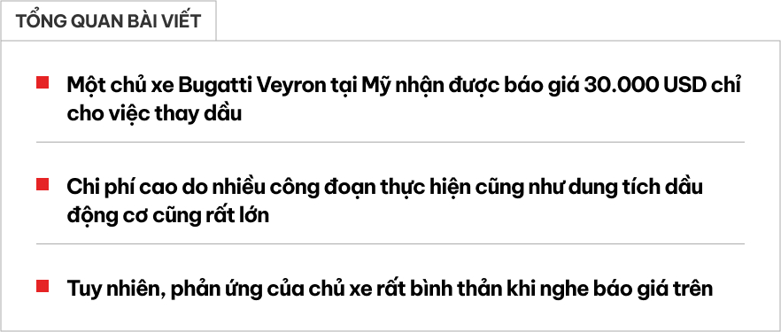 Ông Đặng Lê Nguyên Vũ có thể tốn gần 1 tỷ đồng mỗi lần thay dầu Bugatti Veyron, lý do đến từ kết cấu nghe thôi đã thấy đau đầu- Ảnh 1.