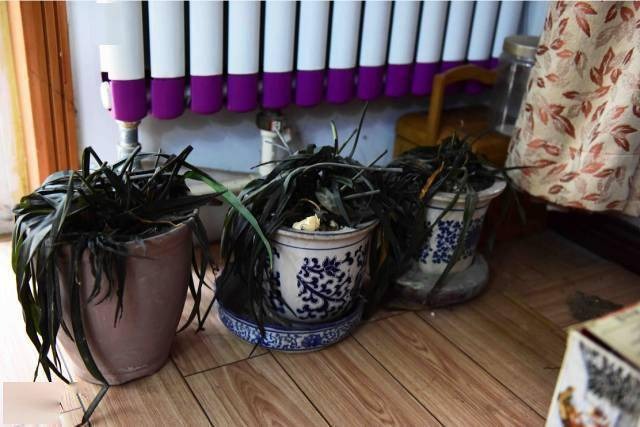 5 dấu hiệu trong nhà cho thấy: Âm khí nặng nề, vận xui đeo bám không buông- Ảnh 3. 5 dấu hiệu trong nhà cho thấy: Âm khí nặng nề, vận xui đeo bám không buông- Ảnh 3.