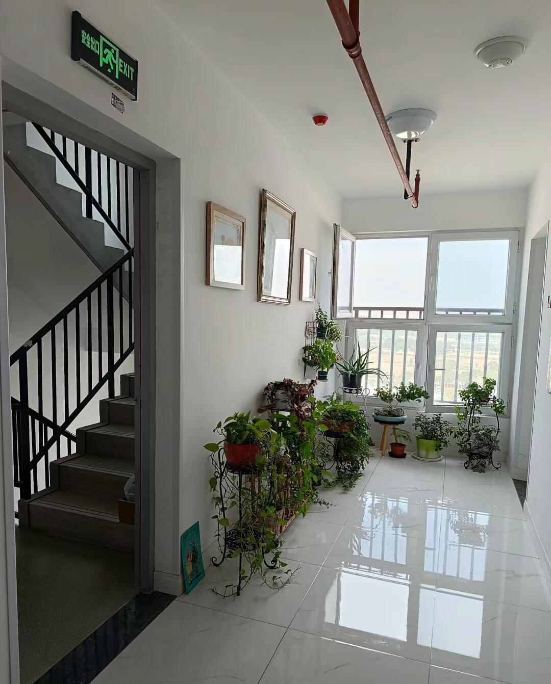 4 thứ đặt trước cửa nhà, xui chí mạng!- Ảnh 5.