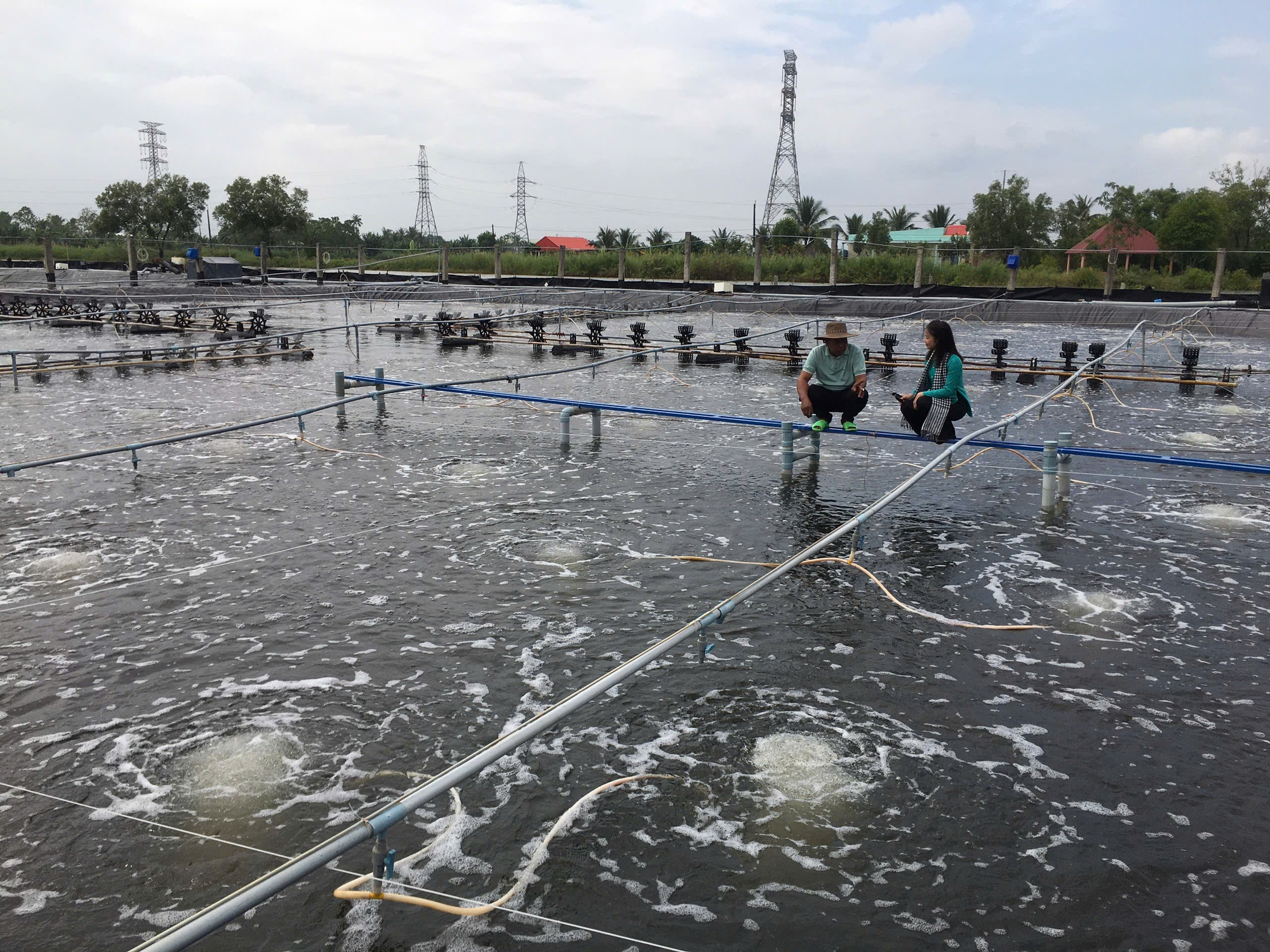 Lão nông ở Cà Mau nuôi loài ‘kho báu dưới nước’ size khủng, 4 tháng lãi gần 2 tỷ: Lập luôn kỷ lục- Ảnh 2.