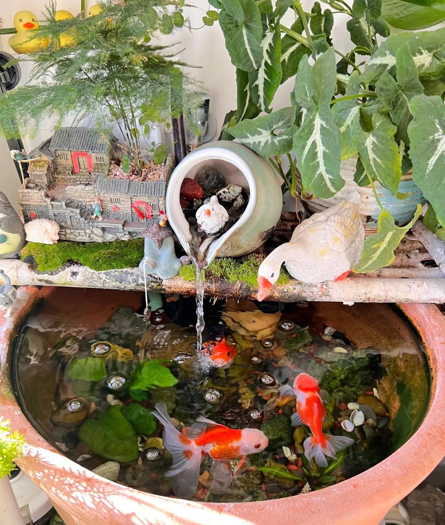 Nhà hàng xóm chỉ có ban công 4m² mà làm được khu vườn đẹp như resort, nhìn xong tôi chỉ biết thốt lên 