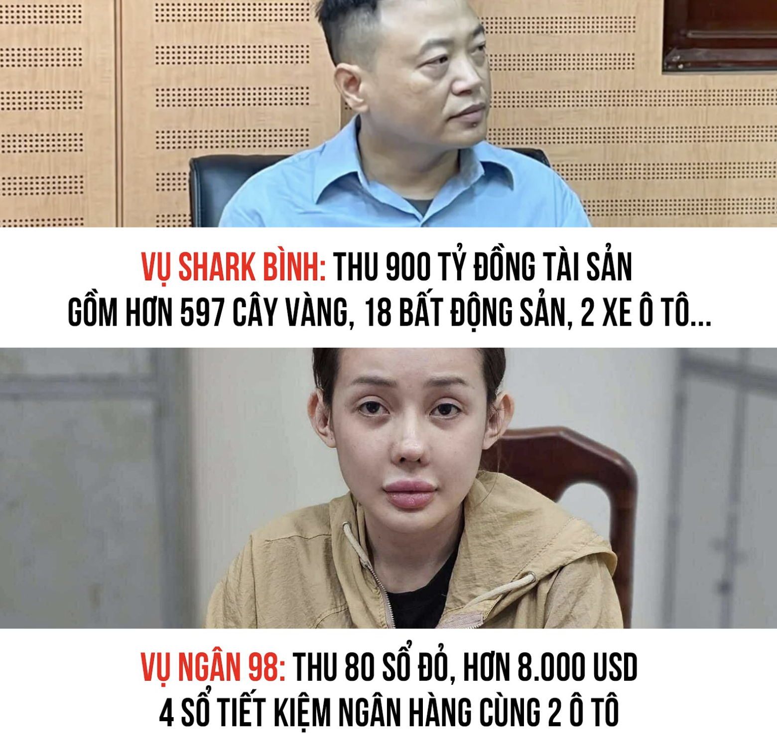 1 tuần, 2 vụ án, 98 sổ đỏ- Ảnh 1.