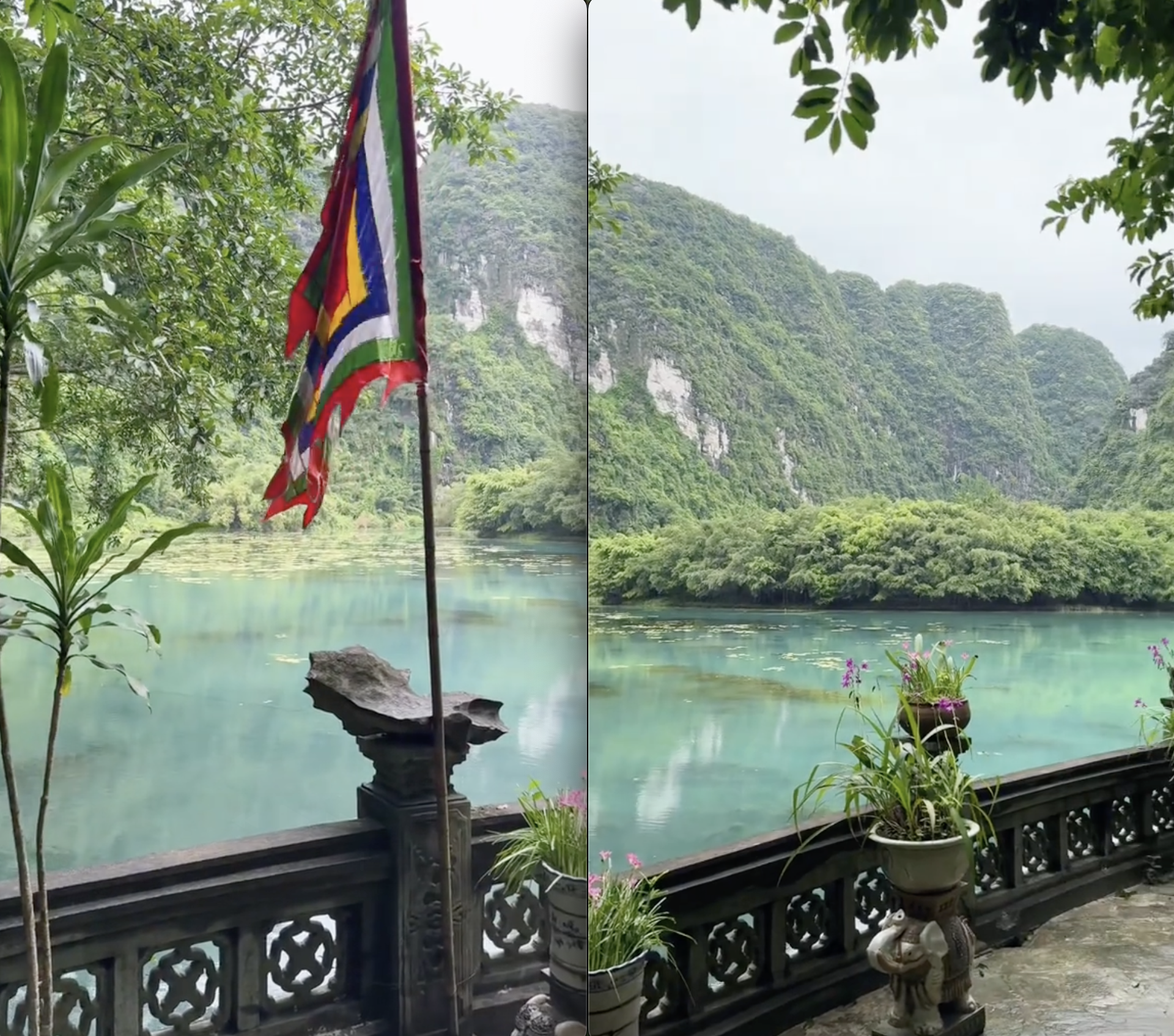 Du lịch Ninh Bình, khách Tây há hốc miệng vì bốc trúng ngay "sít rịt"- Ảnh 2.