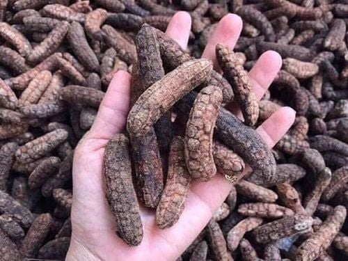 Loại quả xưa rụng đầy gốc nay thành đặc sản dân phố săn lùng, 150.000 đồng/kg- Ảnh 4.