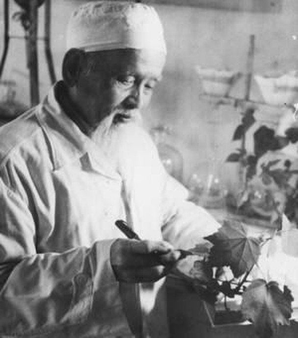 Sự thật về ông chủ Cao Sao Vàng - "thần dược quốc dân" từng chỉ có giá 5.000 đồng, nay được bán cao gấp 37 lần ở trời Tây- Ảnh 1.