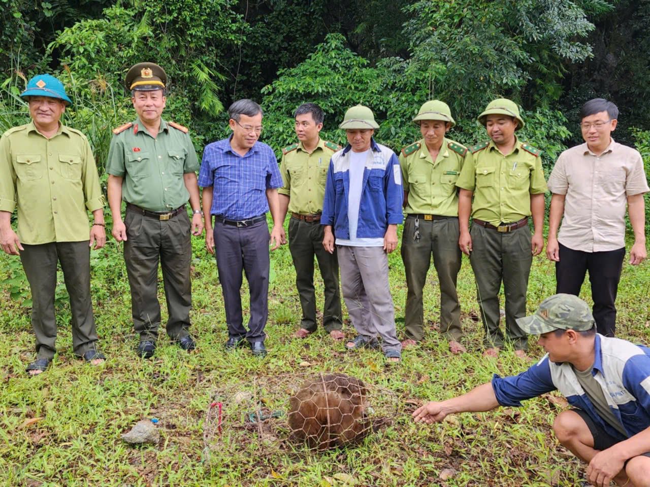 Thấy "vị khách" lạ nặng 30kg đuổi bắt gia cầm trong vườn, không ngờ là "báu vật" quý hiếm- Ảnh 3. Thấy "vị khách" lạ nặng 30kg đuổi bắt gia cầm trong vườn, không ngờ là "báu vật" quý hiếm- Ảnh 3.