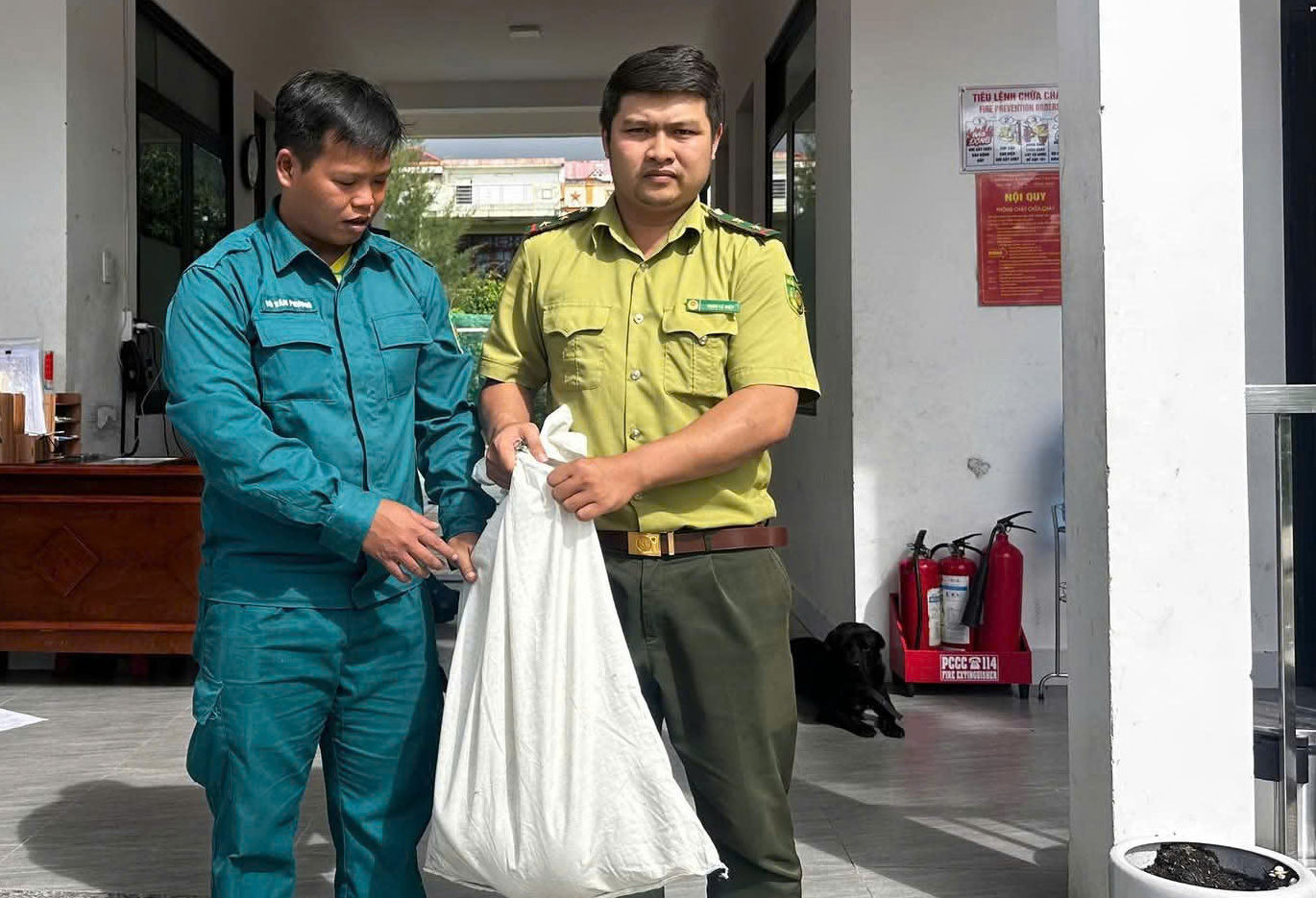 Trăn đất dài 3 m lạc vào khu dân cư ở TP Đà Nẵng- Ảnh 2.