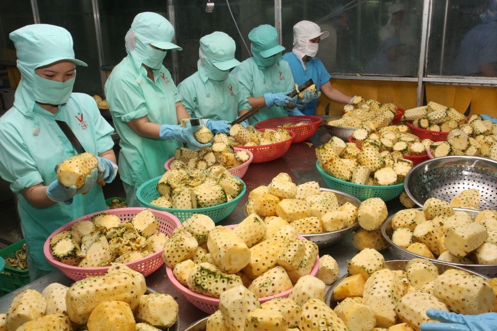 Loại quả quen thuộc của Việt Nam “gây sốt”: Có mặt ở 100 nước, doanh thu xuất khẩu 9 tháng tăng 114%- Ảnh 1.