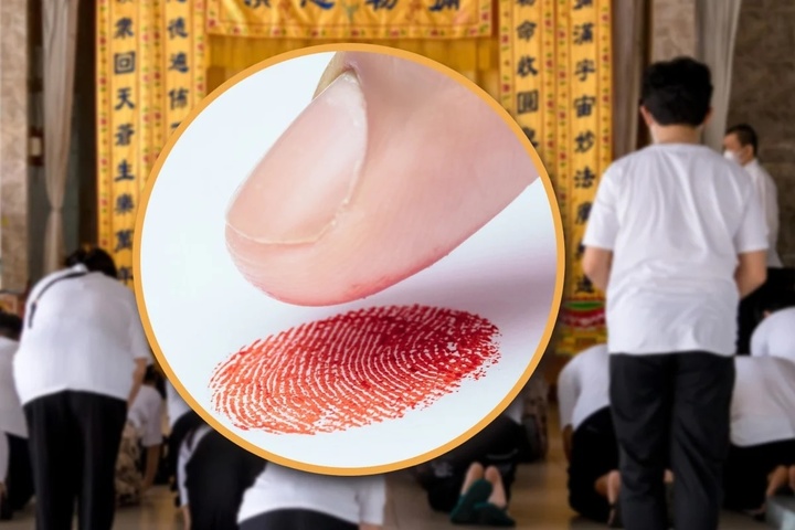 Lấy dấu vân tay của người đã khuất làm giả giấy nợ, người phụ nữ lĩnh án tù- Ảnh 1.