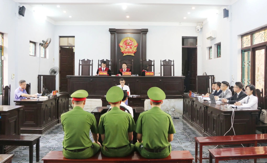 Vụ án gà lôi trắng: Bị cáo Thái Khắc Thành được thả tự do ngay tại toà- Ảnh 1.