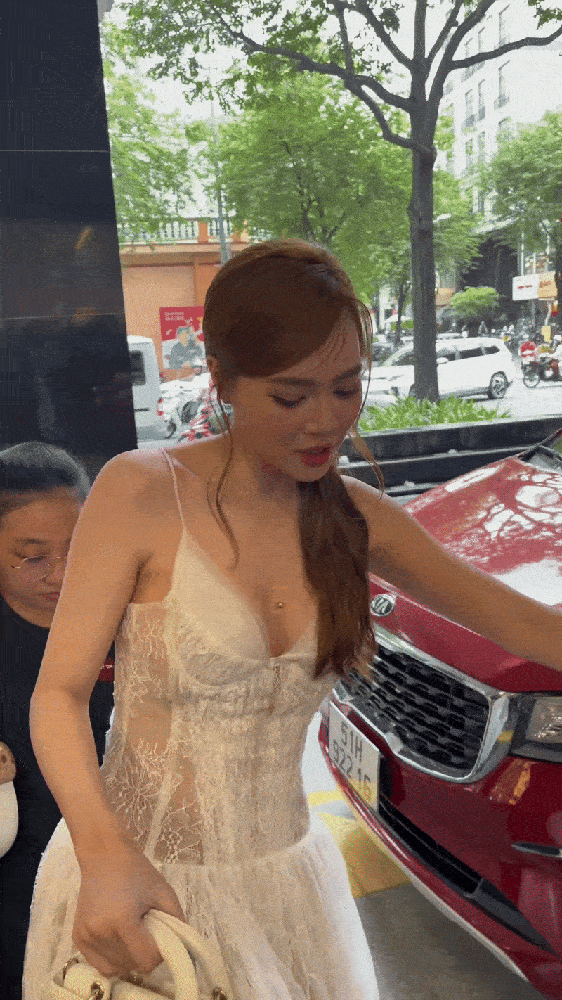 Ninh Dương Lan Ngọc nên dừng lại- Ảnh 2.