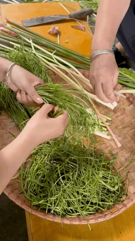 Món rau Tây Bắc gây sốt TikTok: Phắc cút tò ngòng là gì mà ai xem cũng muốn ăn thử?- Ảnh 4.
