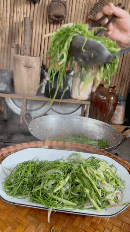 Món rau Tây Bắc gây sốt TikTok: Phắc cút tò ngòng là gì mà ai xem cũng muốn ăn thử?- Ảnh 9.