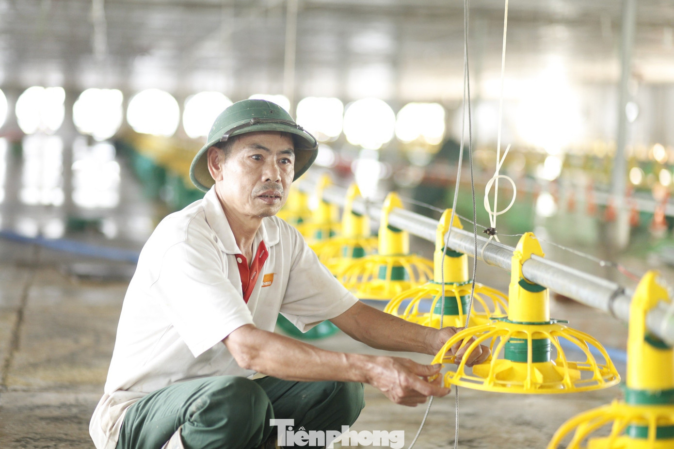 Lão nông bật khóc, chết lặng nhìn 22.000 con gà chết- Ảnh 5.