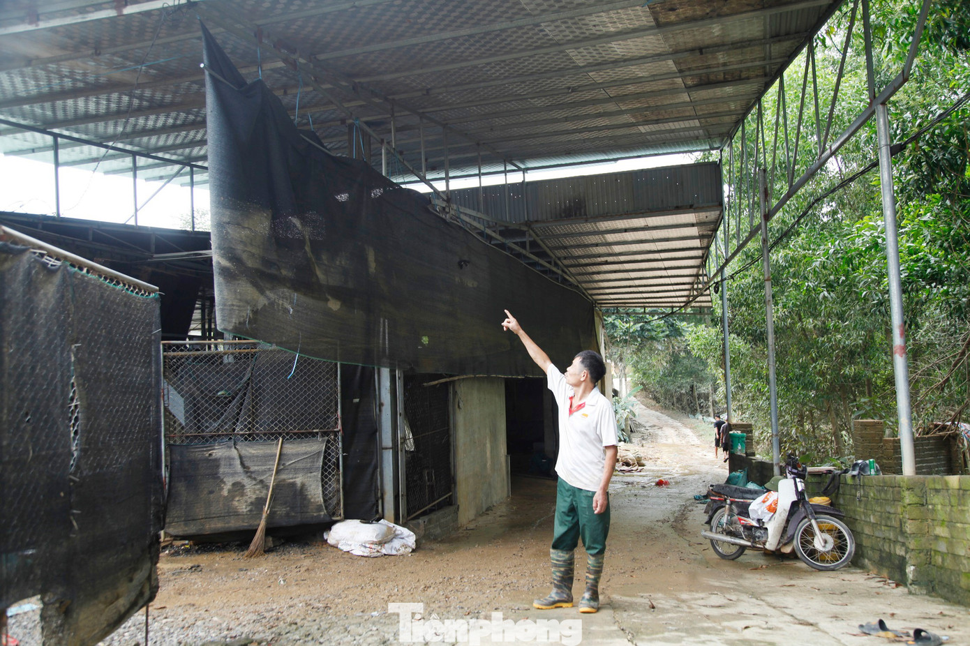 Lão nông bật khóc, chết lặng nhìn 22.000 con gà chết- Ảnh 3.