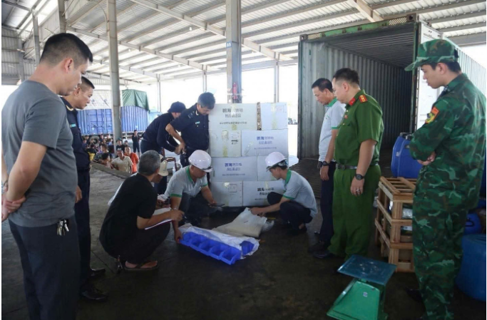 Khám xét nơi ở và nơi làm việc, bắt Giám đốc Nông Văn Hậu- Ảnh 2.
