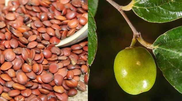 Thứ 90% người Việt bỏ đi không ngờ là "mỏ vàng", giá hơn 2 triệu đồng/kg- Ảnh 1.