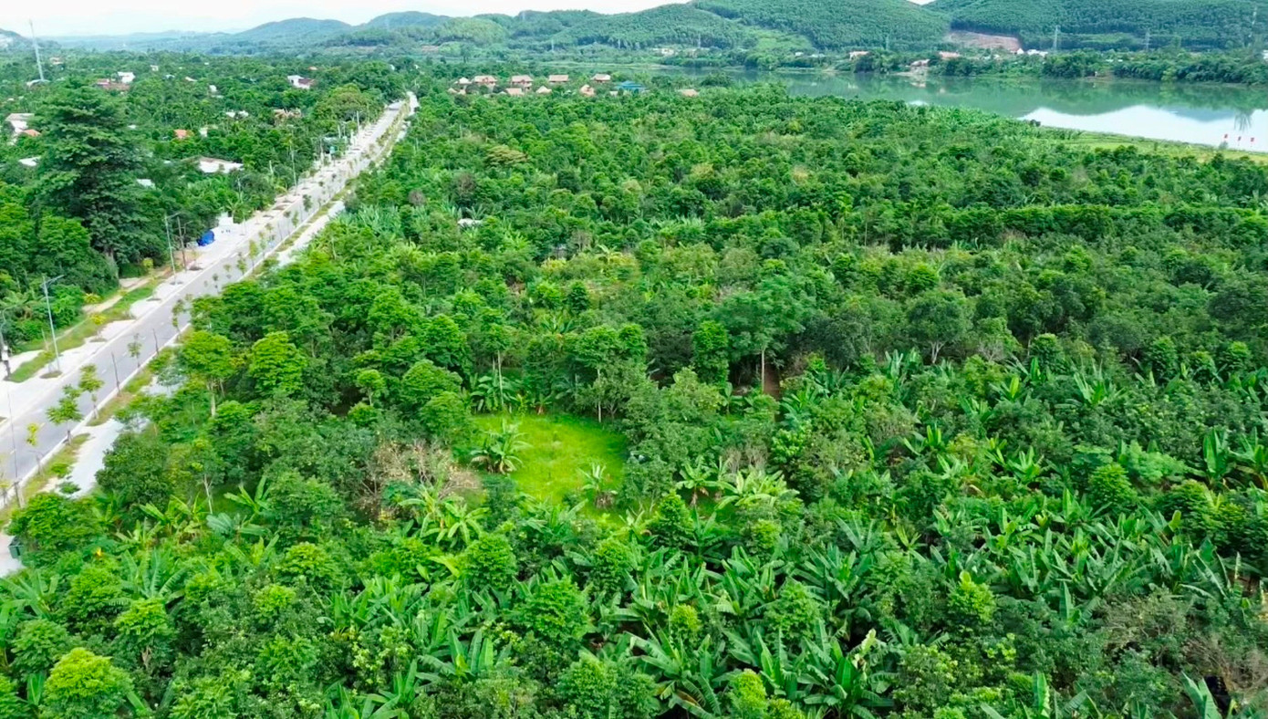 Huế vào mùa quả ngọt thanh, ruột giòn, hương thơm không nơi nào có- Ảnh 2.
