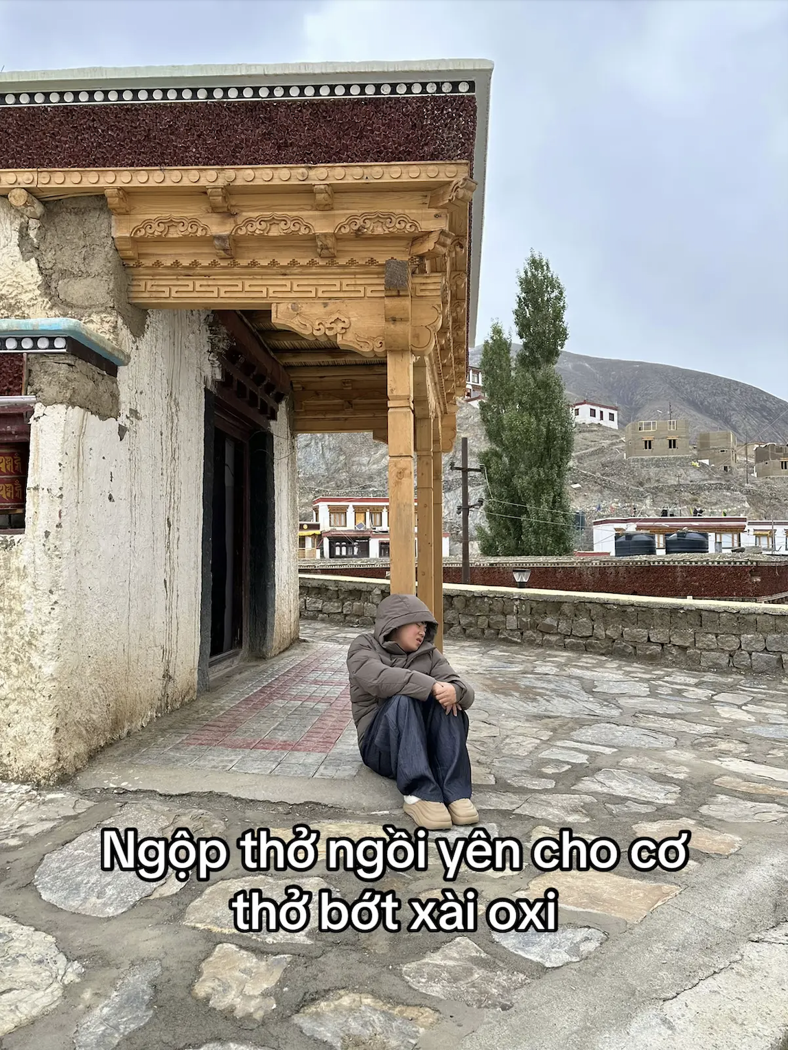 Bông Tím phải thở oxy trên đường đi du lịch- Ảnh 5.