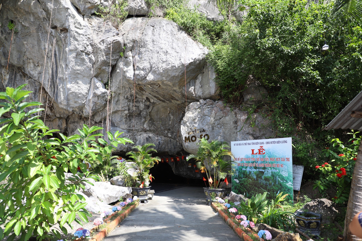 Lý do núi Mo So ở An Giang thành điểm du lịch hút khách- Ảnh 2.