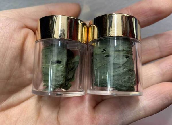 Loại lá đắt đỏ bậc nhất thế giới, chỉ có duy nhất ở Việt Nam, giá tới 150 triệu đồng/kg- Ảnh 6.